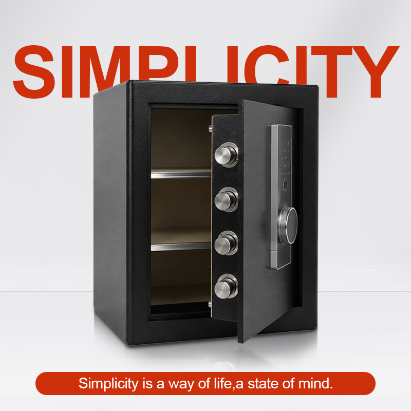 Biometric Fingerprint Safe Box - Home Security Box recension och pris